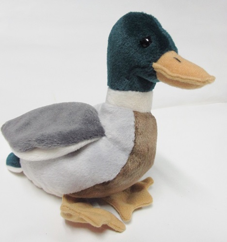 Jake™, the Mallard Duck<br>TY-Beanie Baby<br>(Click on picture-for FULL DETAILS